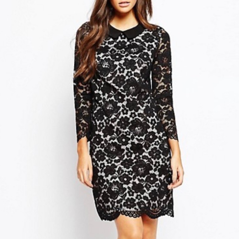 Ted Baker Black Lace Midi Dress with Cream Lining and Peter Pan Collar